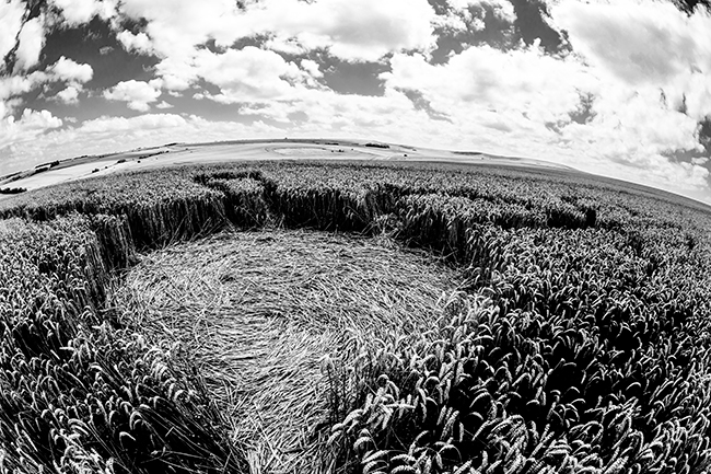 Avebury crop circle